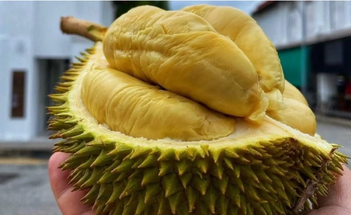 Durian Malaysia Mulai Populer di China, Durian Thailand Terancam